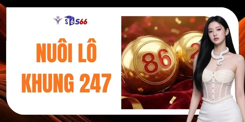 3 Cách Nuôi Lô Khung 247 Chốt Số Tiềm Năng Đánh Quanh Năm