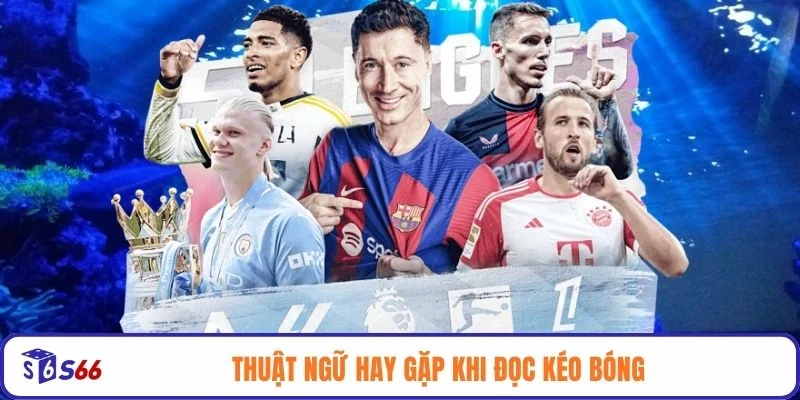 Thuật ngữ hay gặp khi đọc kéo bóng